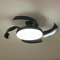 シーリングファンライト